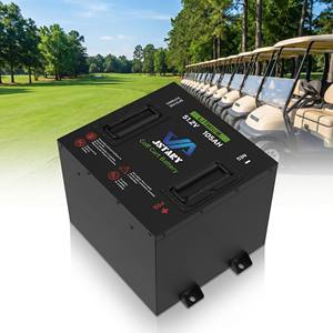 IP67 48V 105ah Golf Cart Lifepo4 Lithium Ion Battery Pack 51.2v