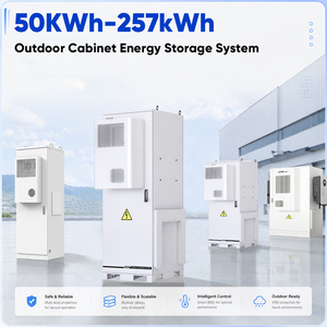 DAH C&I Storage System 62kWh 100kWh 112kWh 215kWh 241kWh LiFePO4 Battery OEM ODM Battery Outdoor Energy Storage Cabinet