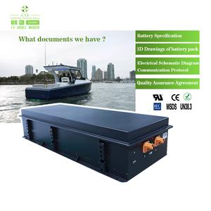 CTS IP67 Waterproof 96V 200Ah-400Ah EV Boat LiFePO4 Battery Pack