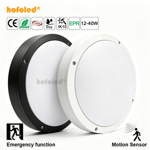 Hofoled Microwave Motion Sensor Staircase LED Emergency Ceiling Light
