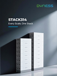 Dyness Stack314 High Voltage Module