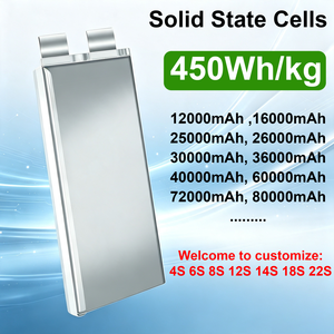 450Wh/kg Solid State Cells Pouch Cell